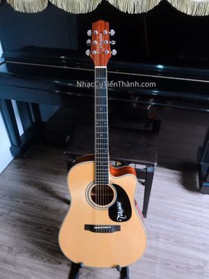 Đàn Guitar Takamine ED334C