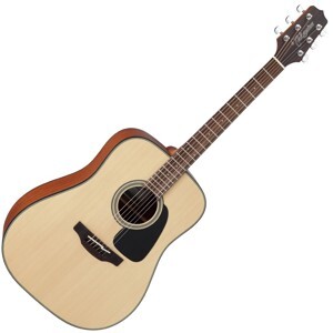 Đàn Guitar Takamine GD10