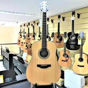 Đàn Guitar Takamine GD20