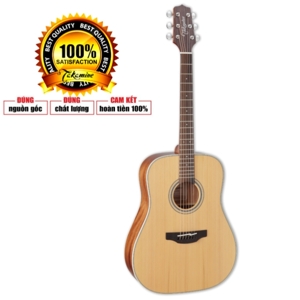Đàn Guitar Takamine GD20