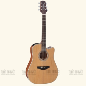 Đàn Guitar Takamine GD20CE