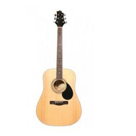 Đàn guitar Takamine P1NC