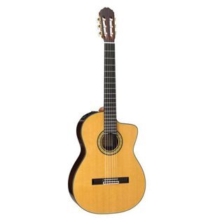 Đàn guitar Takamine TH5C