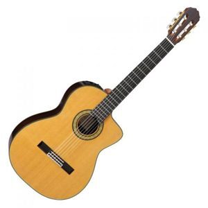 Đàn guitar Takamine TH5C