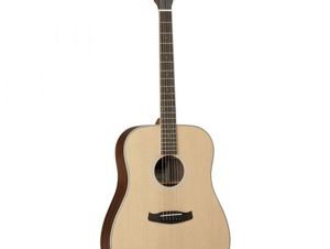 Đàn guitar Tanglewood Discovery DBT D EB