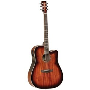 Đàn guitar Tanglewood TW5 Dreadnought