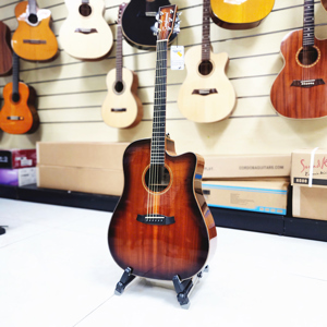 Đàn guitar Tanglewood TW5 Dreadnought