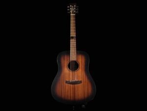 Đàn guitar TangleWood TWCR-D E