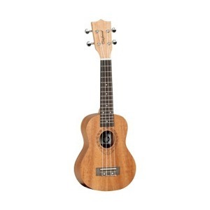 Đàn guitar Tanglewood TWT1