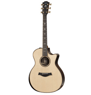 Đàn Guitar Taylor 914CE