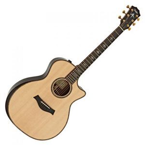 Đàn Guitar Taylor 914CE