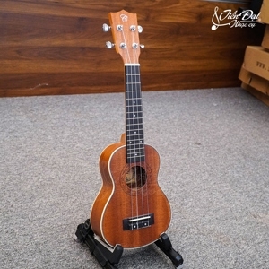 Đàn guitar Ukulele Chard U-21A