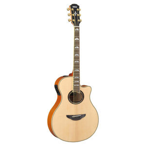 Đàn guitar Yamaha APX1000 (APX 1000)