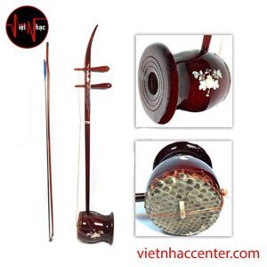 Đàn Hồ Việt Nam TMH30