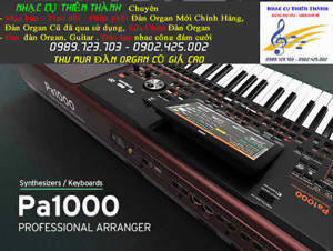 Đàn Organ Korg PA1000