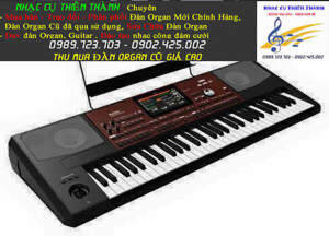 Đàn Organ Korg PA700