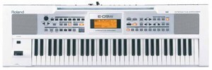 Đàn Organ Roland E-09W