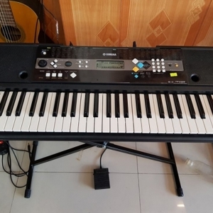 Đàn Organ Yamaha PSR E223