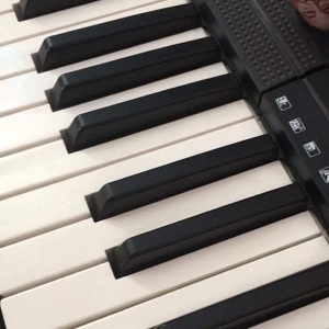 Đàn Organ Yamaha PSR-E253