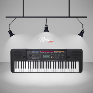 Đàn Organ Yamaha PSR E263