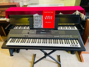 Đàn organ Yamaha PSR-EW410