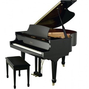 Đàn Piano Brandnew Essex EGP-155C