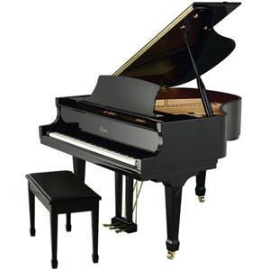 Đàn Piano Brandnew Essex EGP-155C