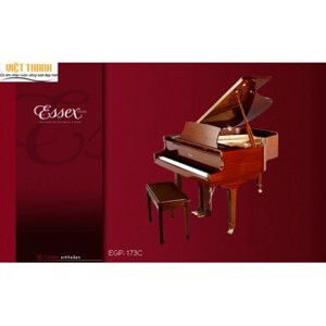 Đàn Piano Brandnew Essex EGP-173C