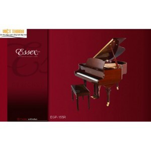 Đàn Piano Brandnew Essex EGP-155R