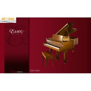 Đàn Piano Brandnew Essex EGP-183C