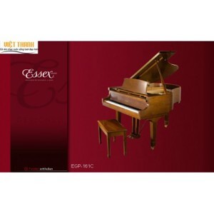 Đàn Piano Brandnew Essex EGP-161C