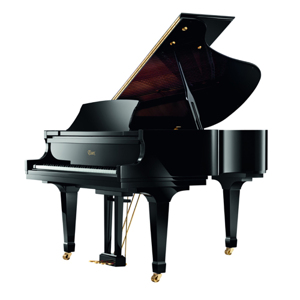 Đàn Piano Brandnew Essex EGP-173C