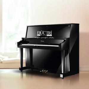 Đàn Piano Brandnew Essex EUP-123E