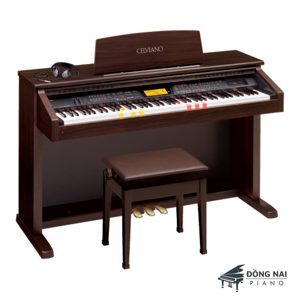 Đàn Piano Casio AL100R