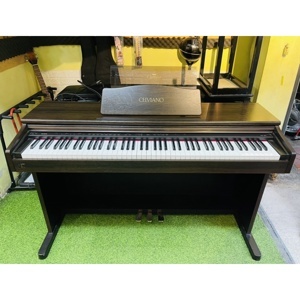 Đàn piano Casio AP-20