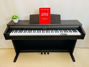 Đàn piano Casio AP-200