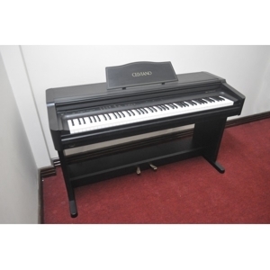 Đàn Piano Casio AP-30