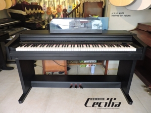 Đàn piano Casio AP-7 (AP7)