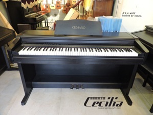 Đàn Piano Casio AP55