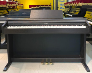 Đàn Piano Casio VJ-201
