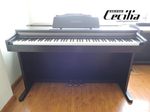 Đàn Piano Casio VJ-201