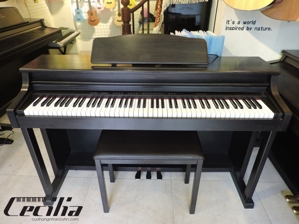 Đàn piano Columbia EP-1500