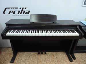 Đàn Piano Columbia EP 320