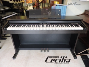 Đàn Piano Columbia EP2350