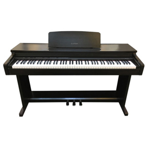 Đàn Piano Columbia EPG1