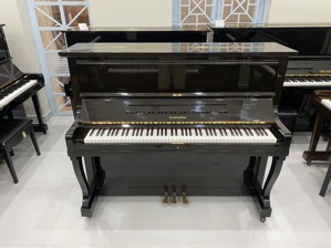 Đàn piano Diapason 125