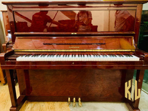 Đàn piano Diapason 132C