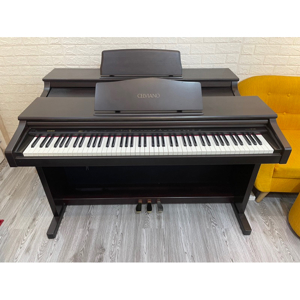 Đàn Piano Điện Casio AP-12S