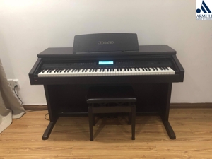 Đàn Piano điện Casio AP-65R