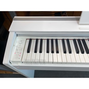 Đàn Piano Điện Casio PX-2000GP